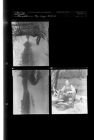 Tar River Feature (3 Negatives) 1950s, undated [Sleeve 1, Folder c, Box 22]